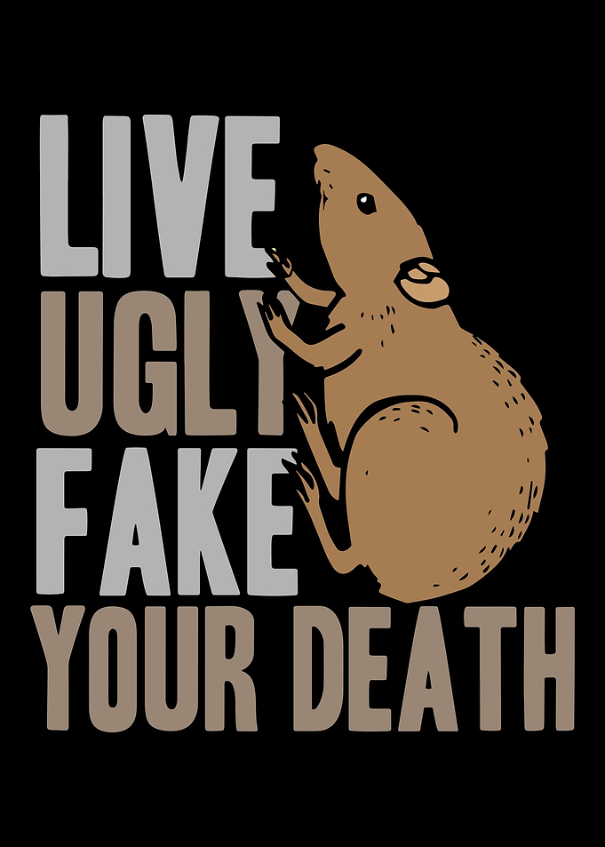 Rat Rats Mouse Mice
