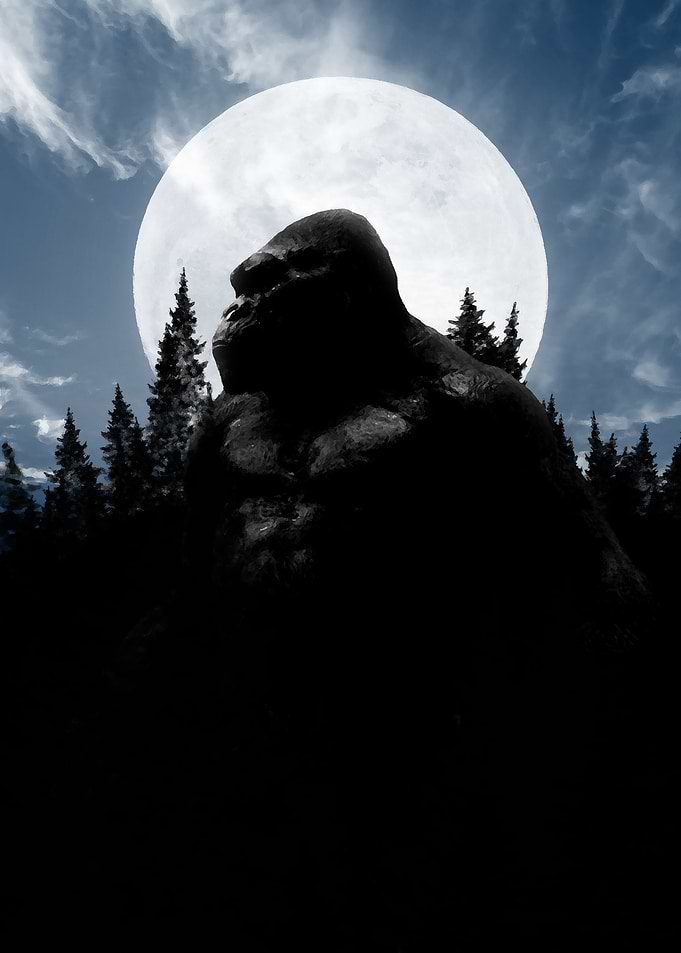 king kong arts