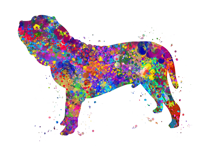 Neapolitan mastiff dog
