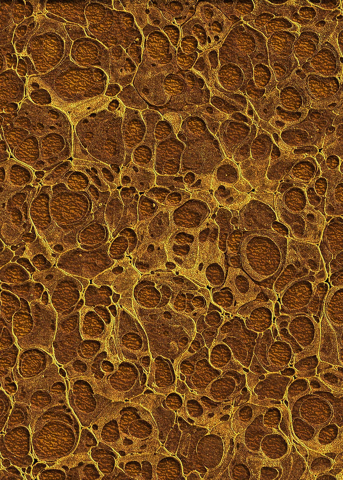 Golden Marble 11