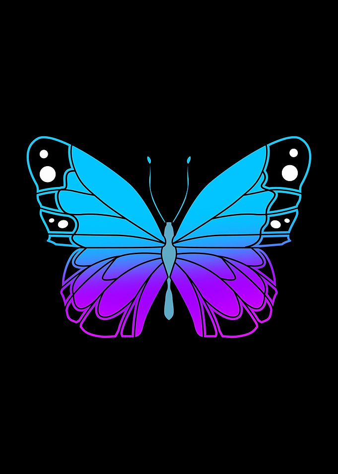 Blue Monarch Butterfly