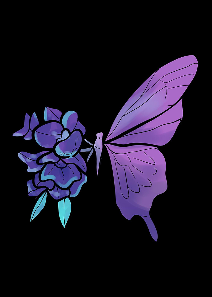 Butterfly Flowers Butterfl