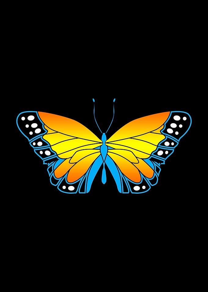 Monarch Butterfly Garden