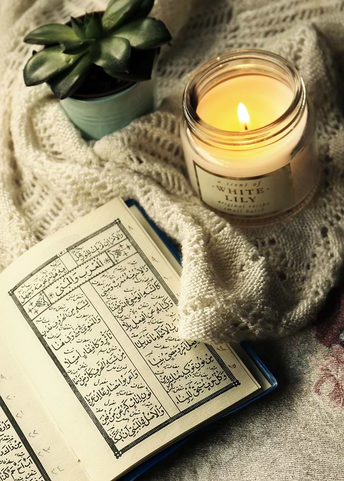 Cozy reading
