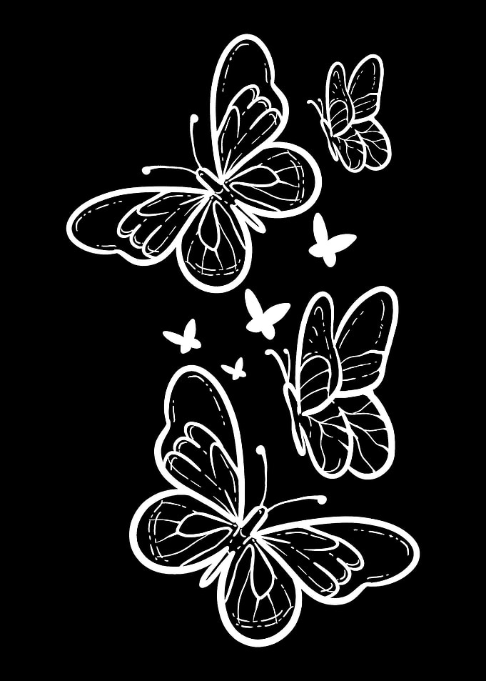 Butterflies Spring Nature