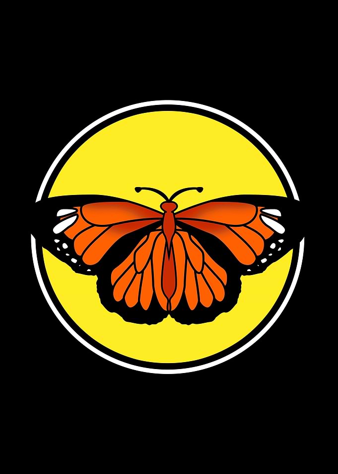 Monarch Butterfly Vintage