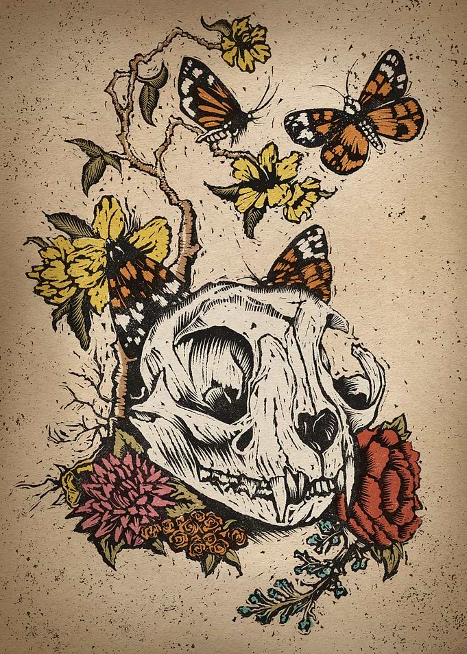 Feline Skull
