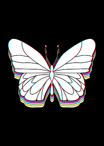Monarch Butterfly Colorful