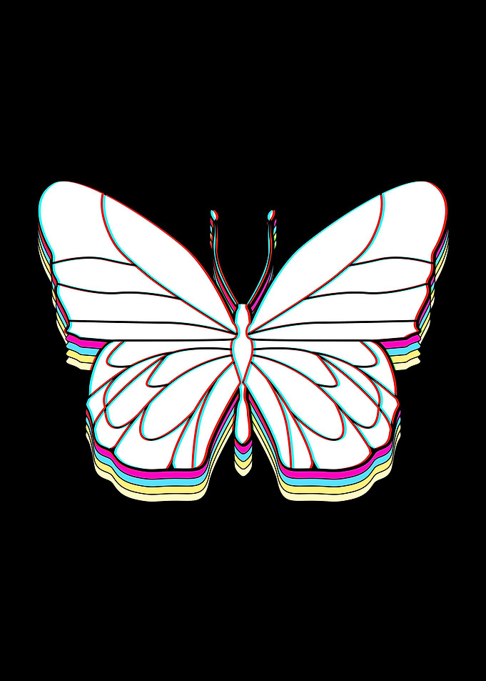 Monarch Butterfly Colorful