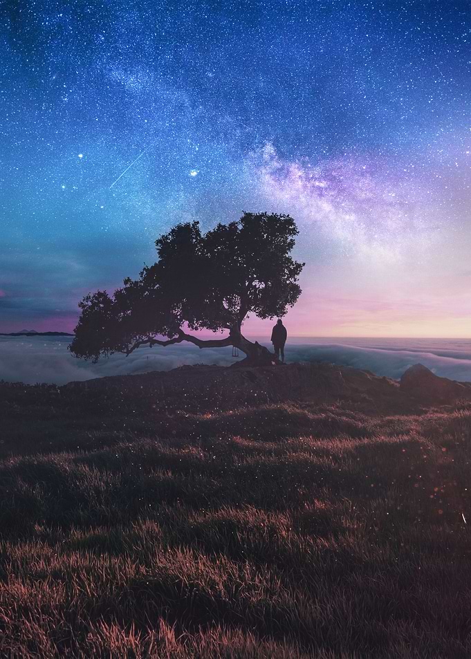 star gazing