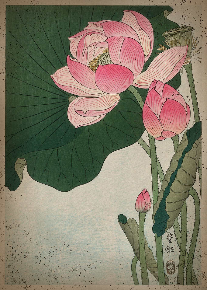Japanese Lillies