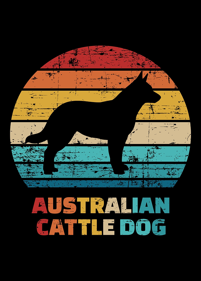 Australian Cattledog
