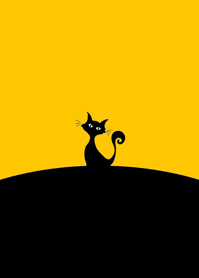 Yellow cartoon Cat