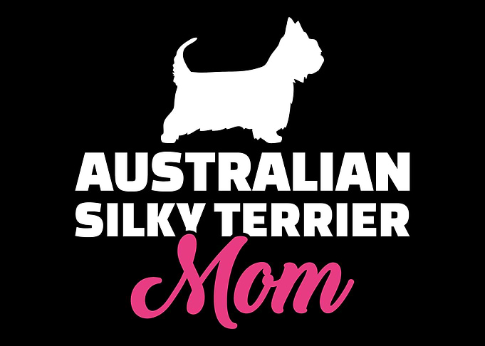 Australian Silky Terrier