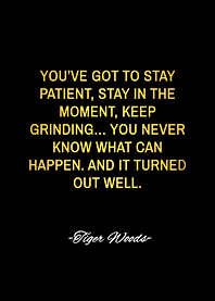 tiger woods quotes