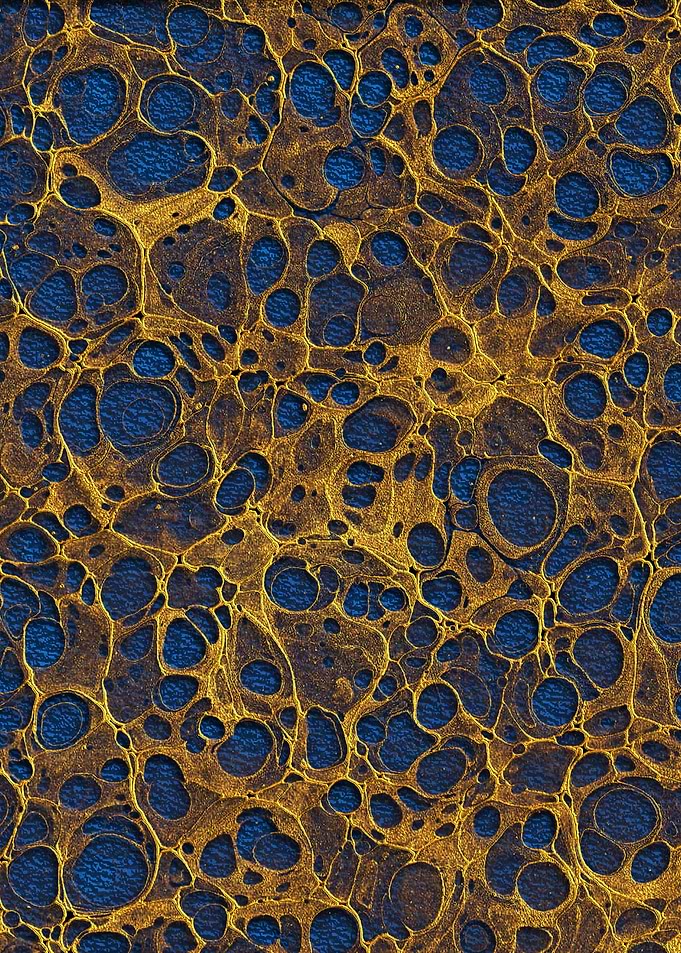 Golden Marble 14