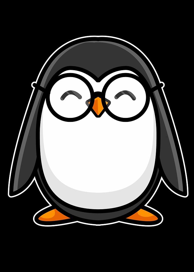 South African Penguin