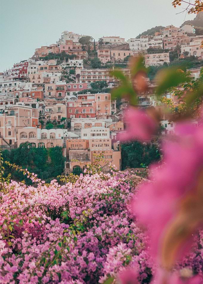 Floral Amalfi