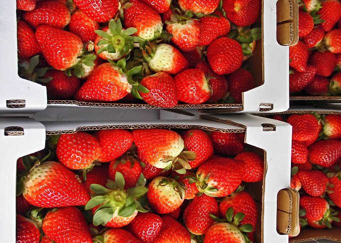 First strawberries