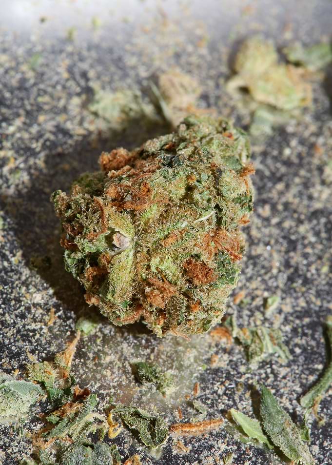 Buds super lemon haze pure