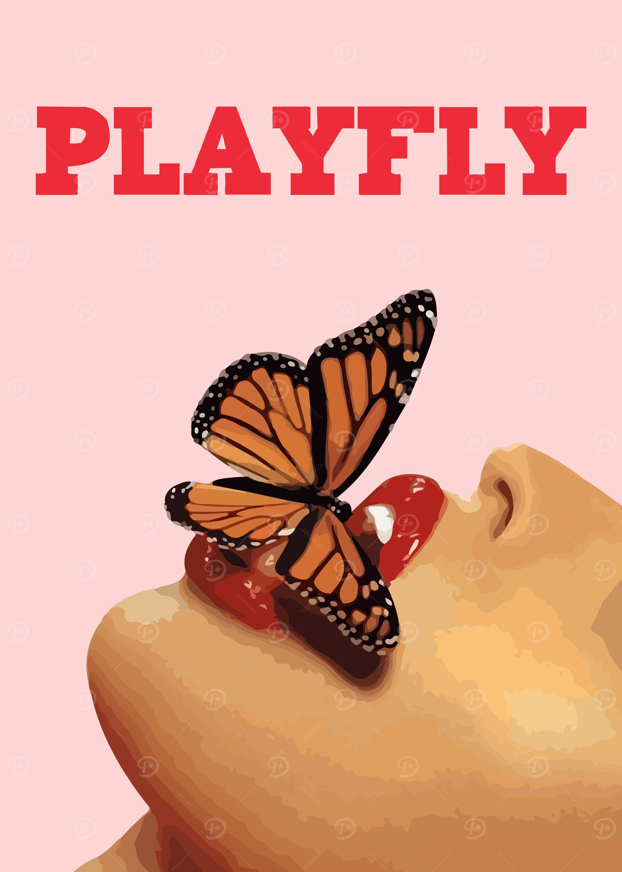 PLAYFLY