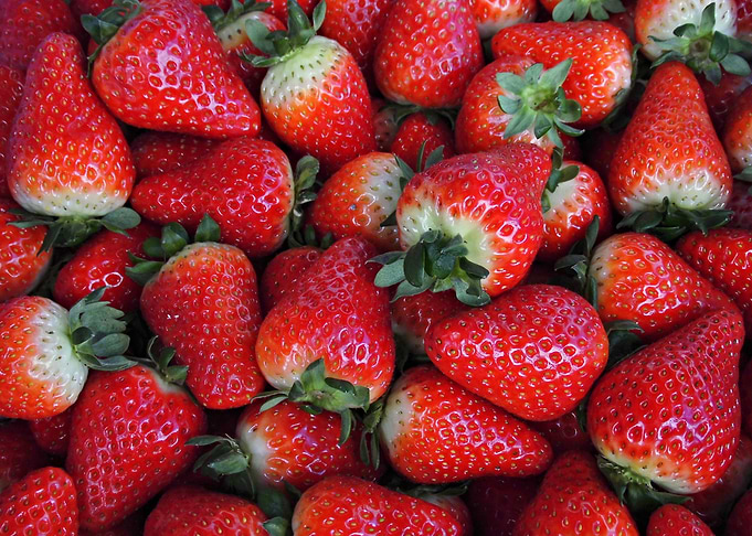 Fresh strawberries
