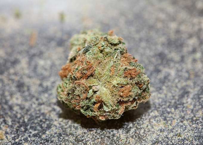 Marihuana super lemon haze