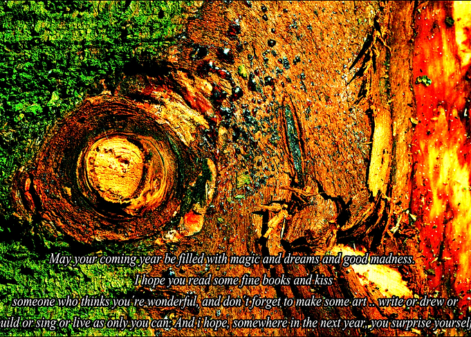 Quotes and sayings words
