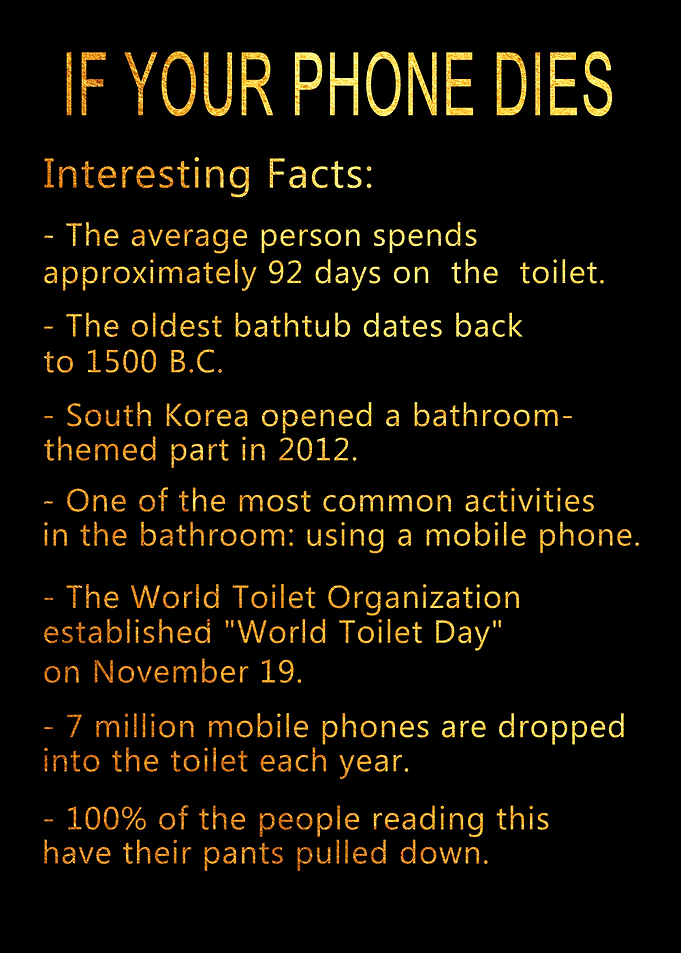 Golden Toilet Room