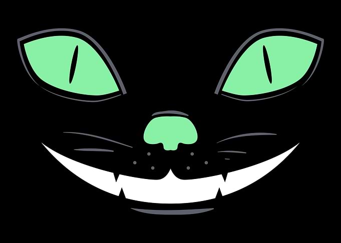 Halloween Cat Face