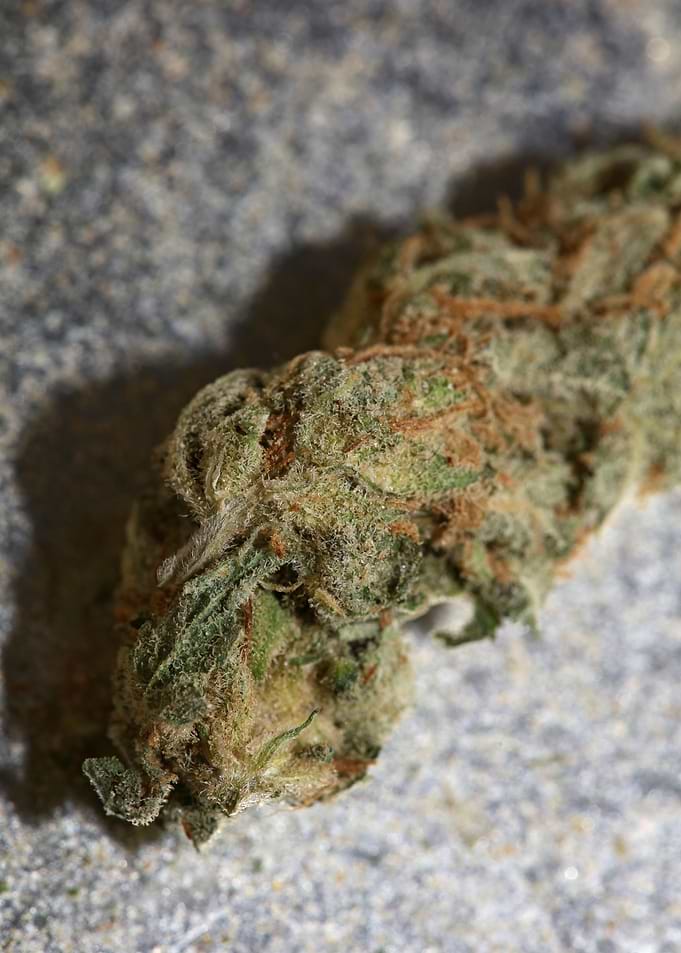 Buds super lemon haze pure