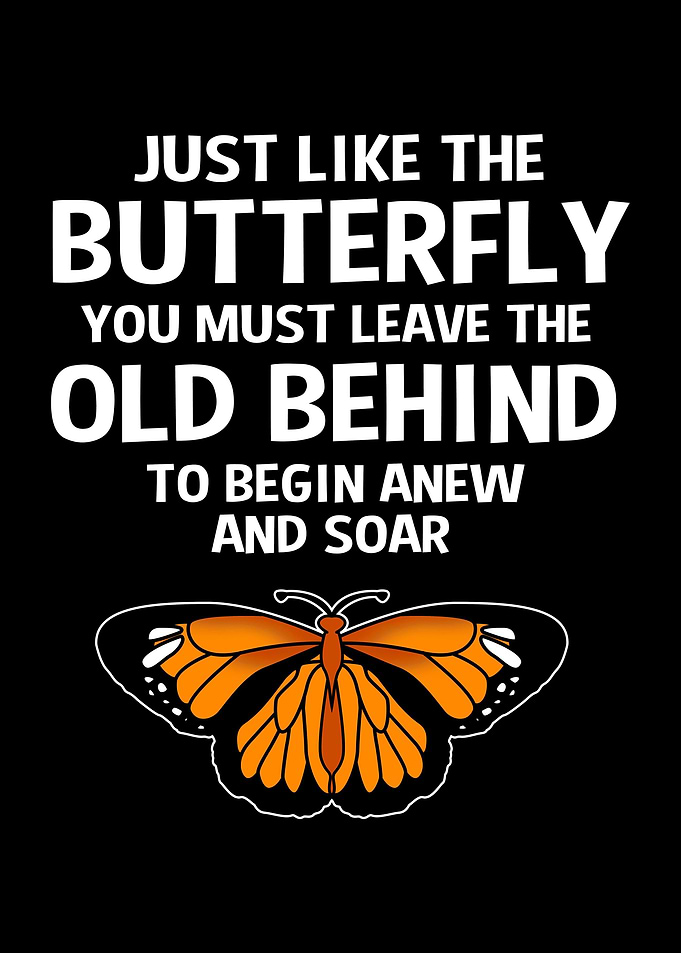 Butterfly Living Room