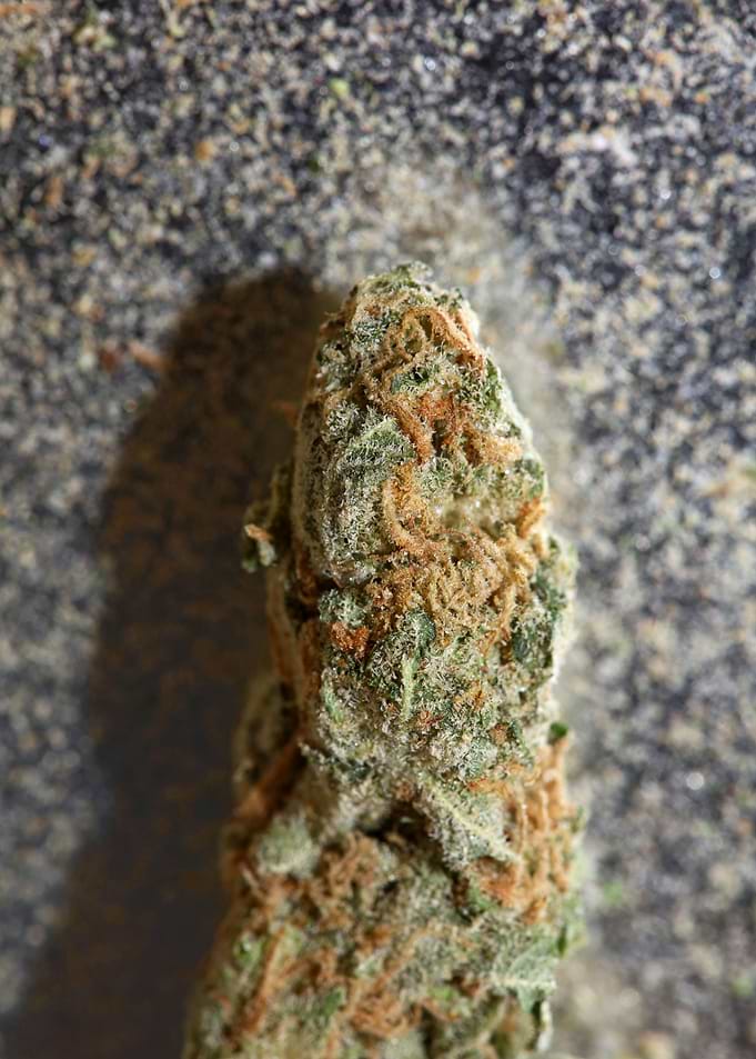 Buds super lemon haze pure