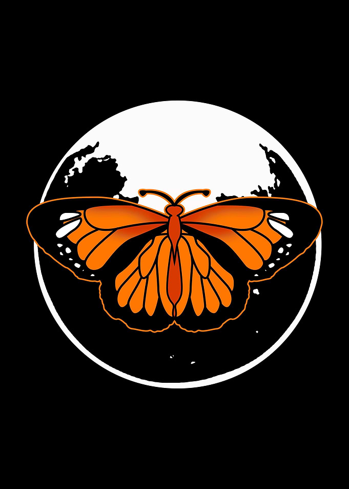 Monarch Butterfly Moon