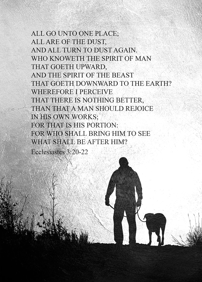 Ecclesiastes 3 20 to 22