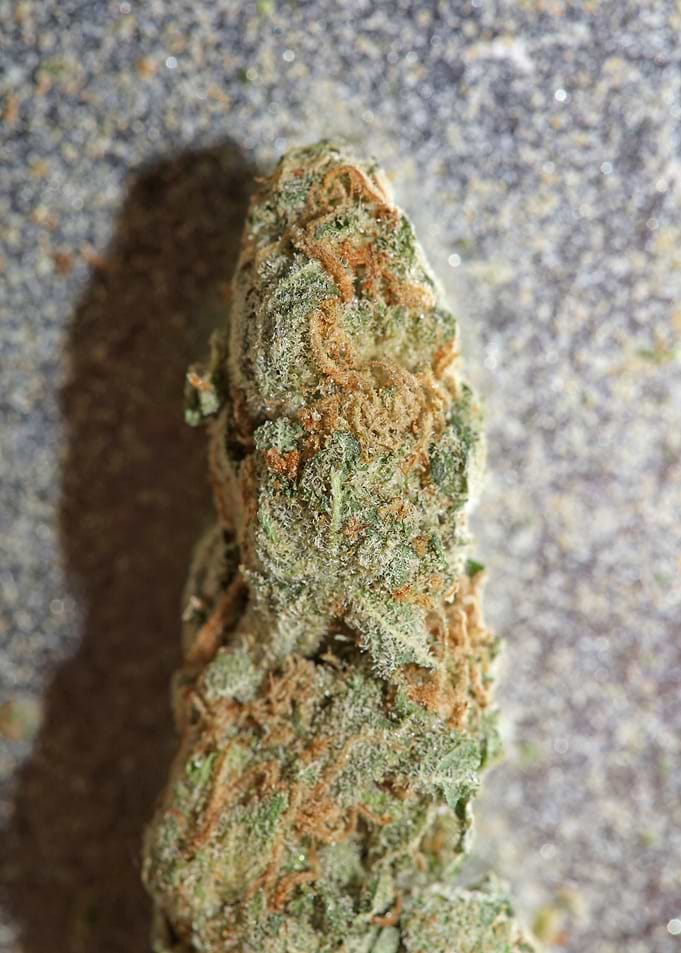 Buds super lemon haze pure
