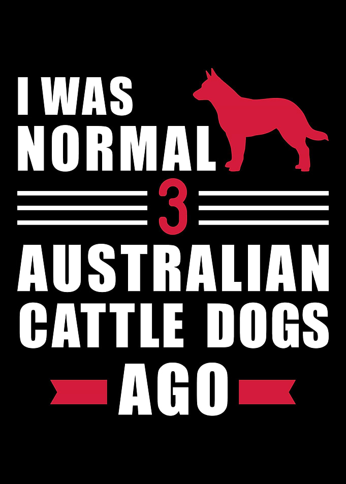 Australian Cattle Dog
