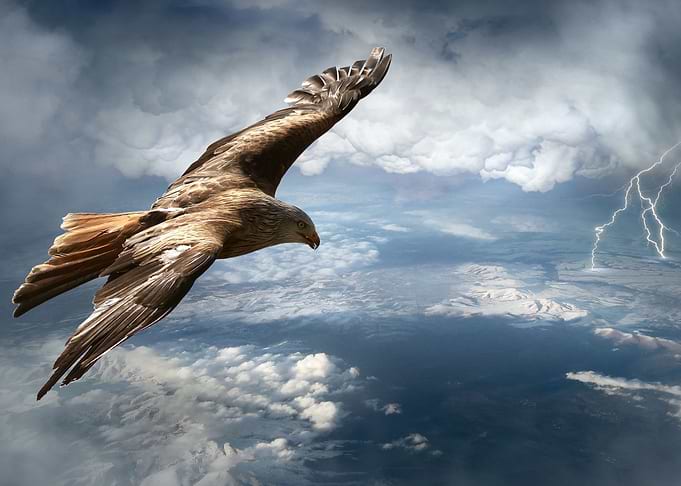 Birds eye view