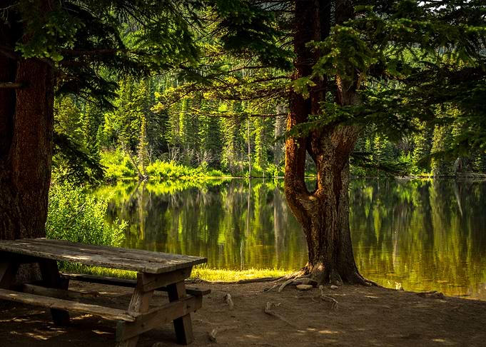 Picnic naturally