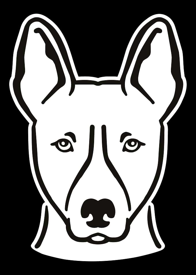 Basenji