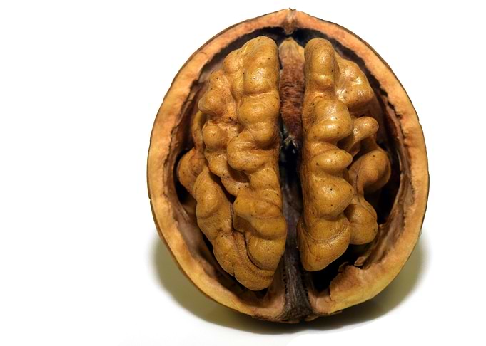 Walnut Inspection