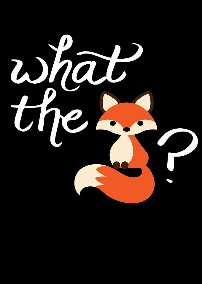 Fox Baby