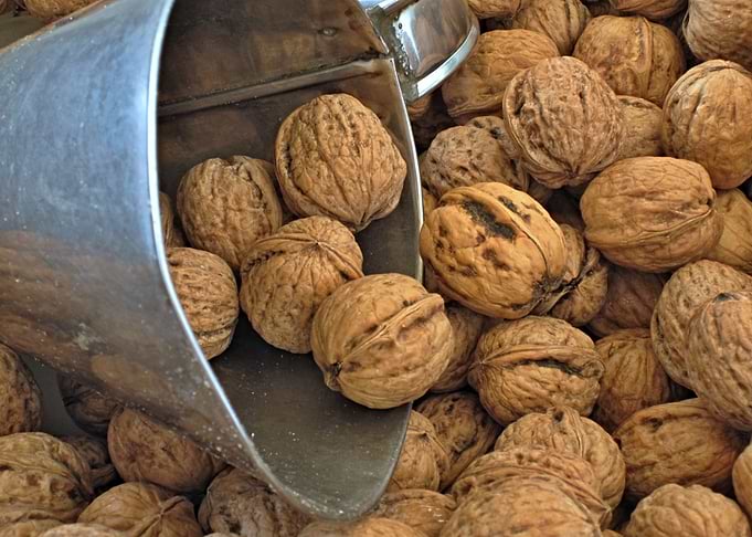 Walnuts from the market