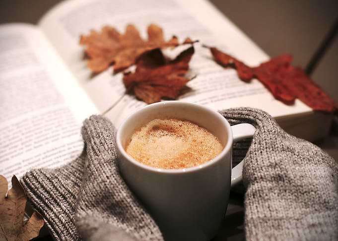 Cold day novel