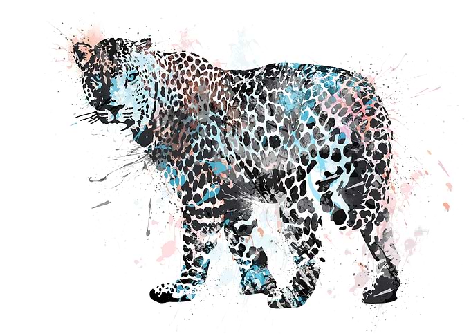 Leopard
