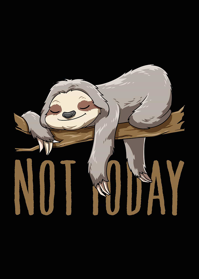 Funny Sloth Not Today