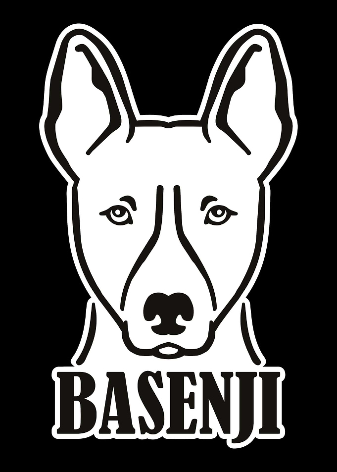 Basenji