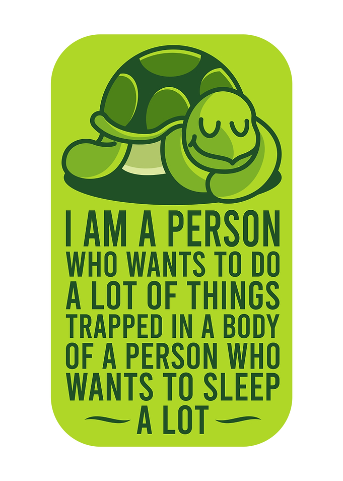 SLEEPING TURTLE Turtle