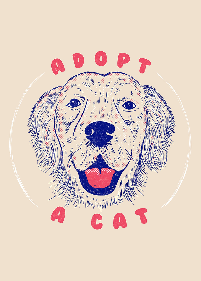 Adopt a Cat