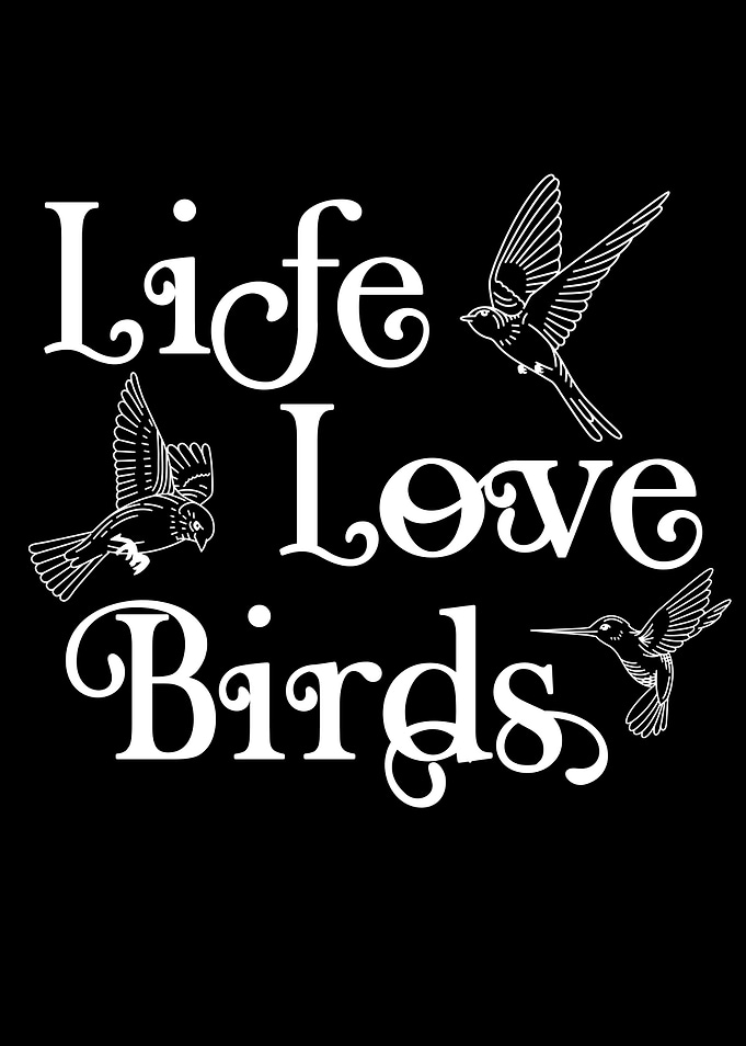 life love birds